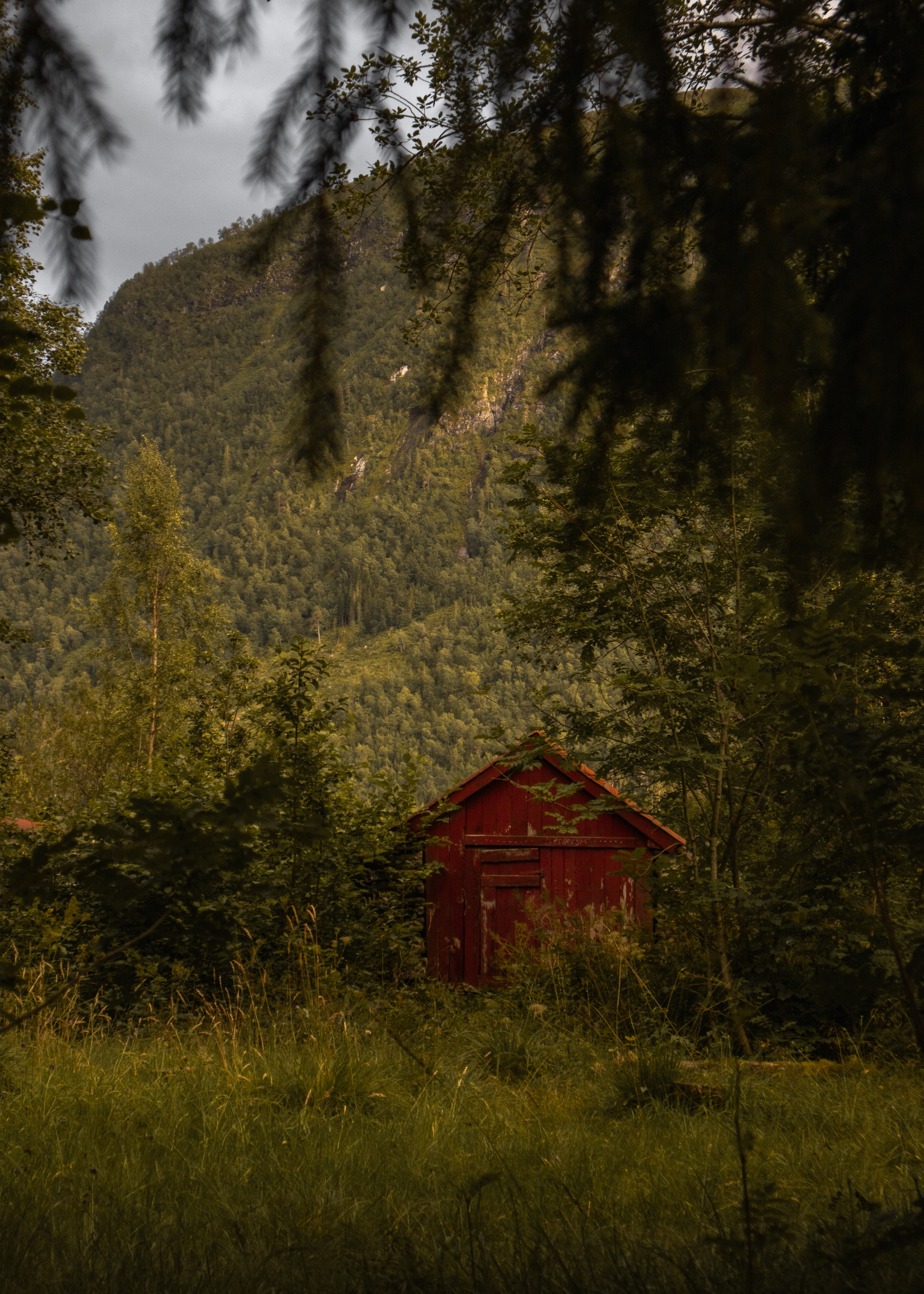 Nature 4